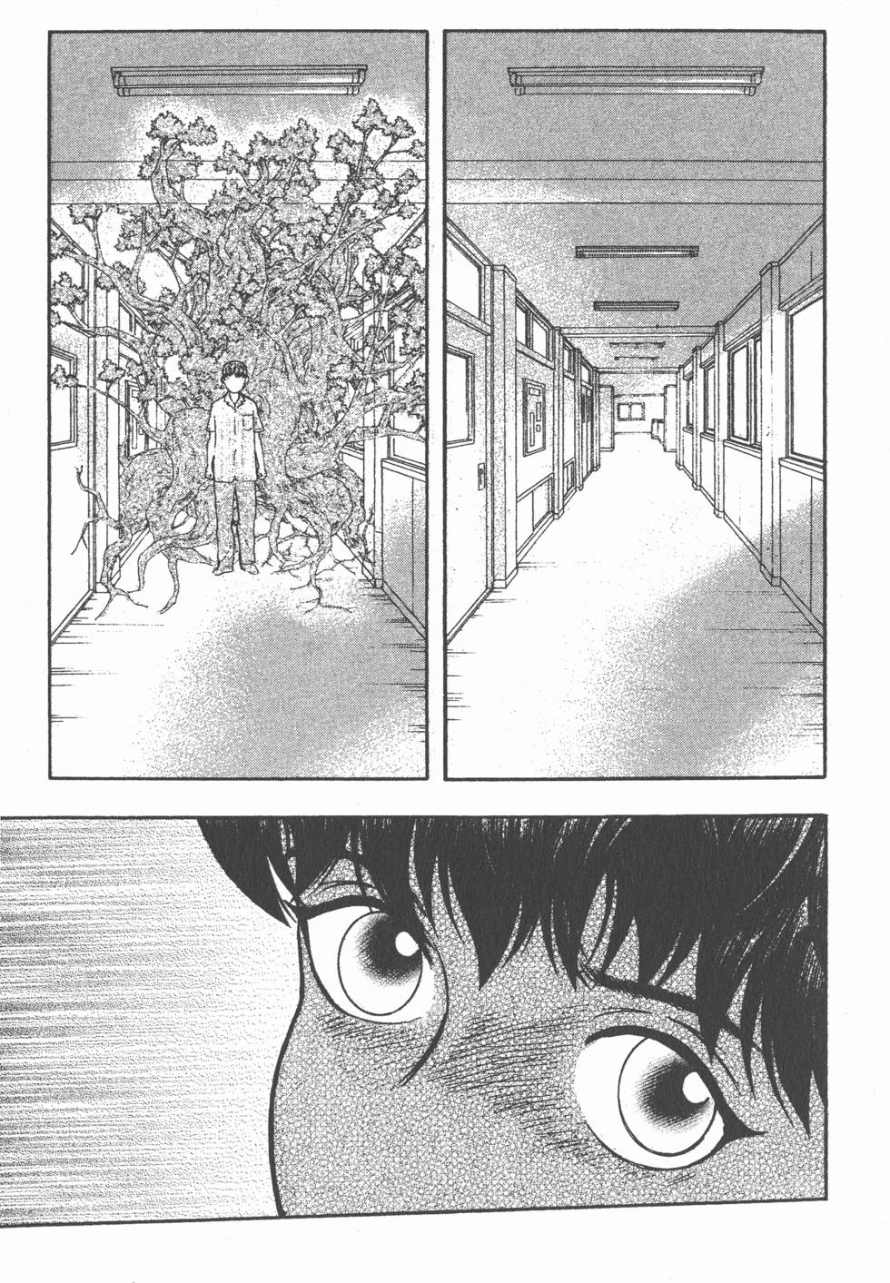 第215页
