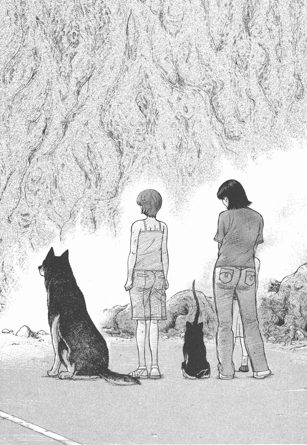 第172页