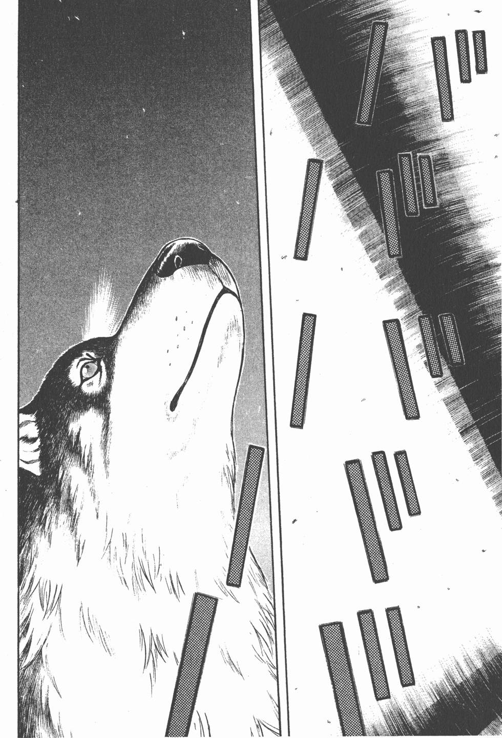 第194页