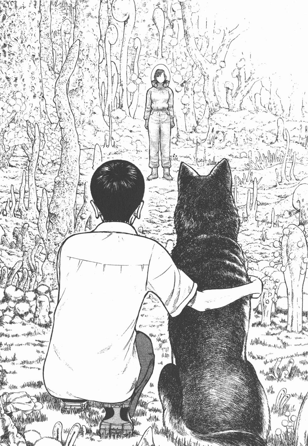 第231页