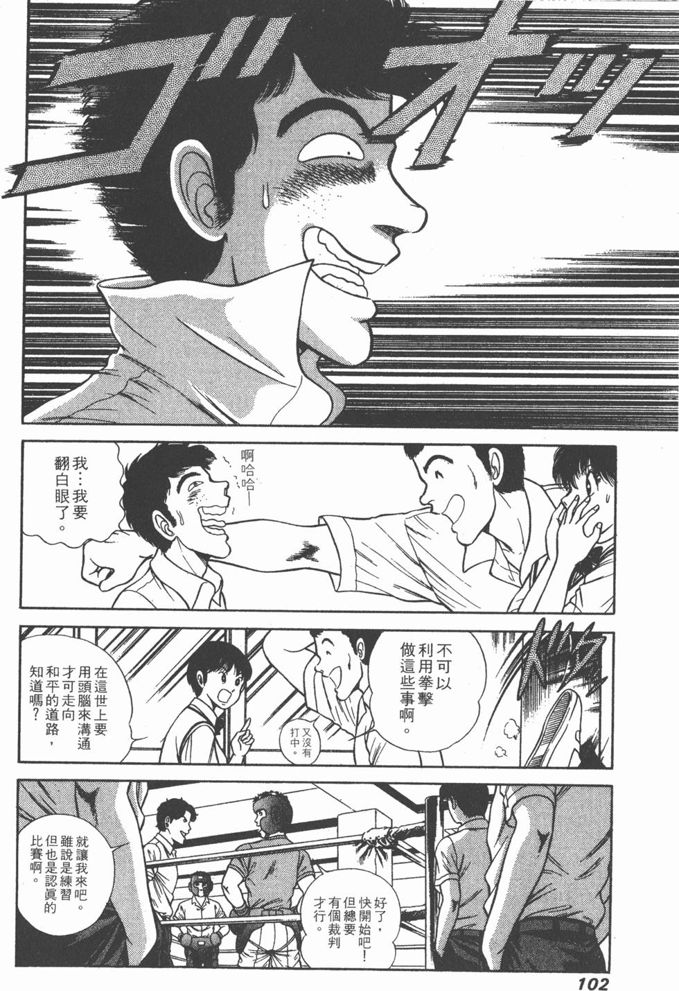 第100页