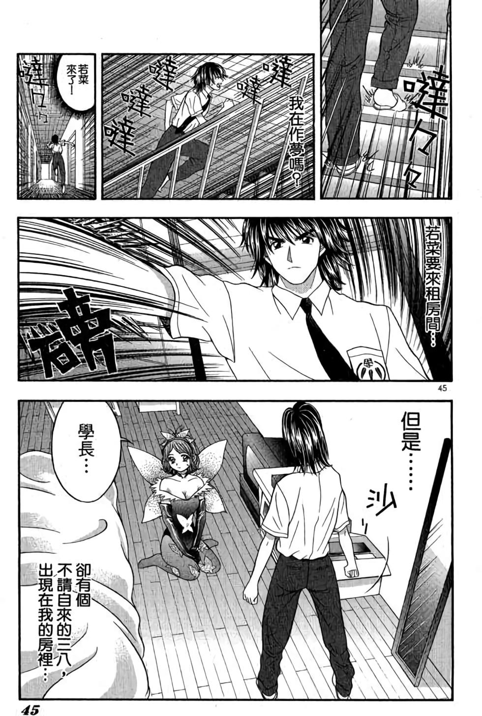 第43页