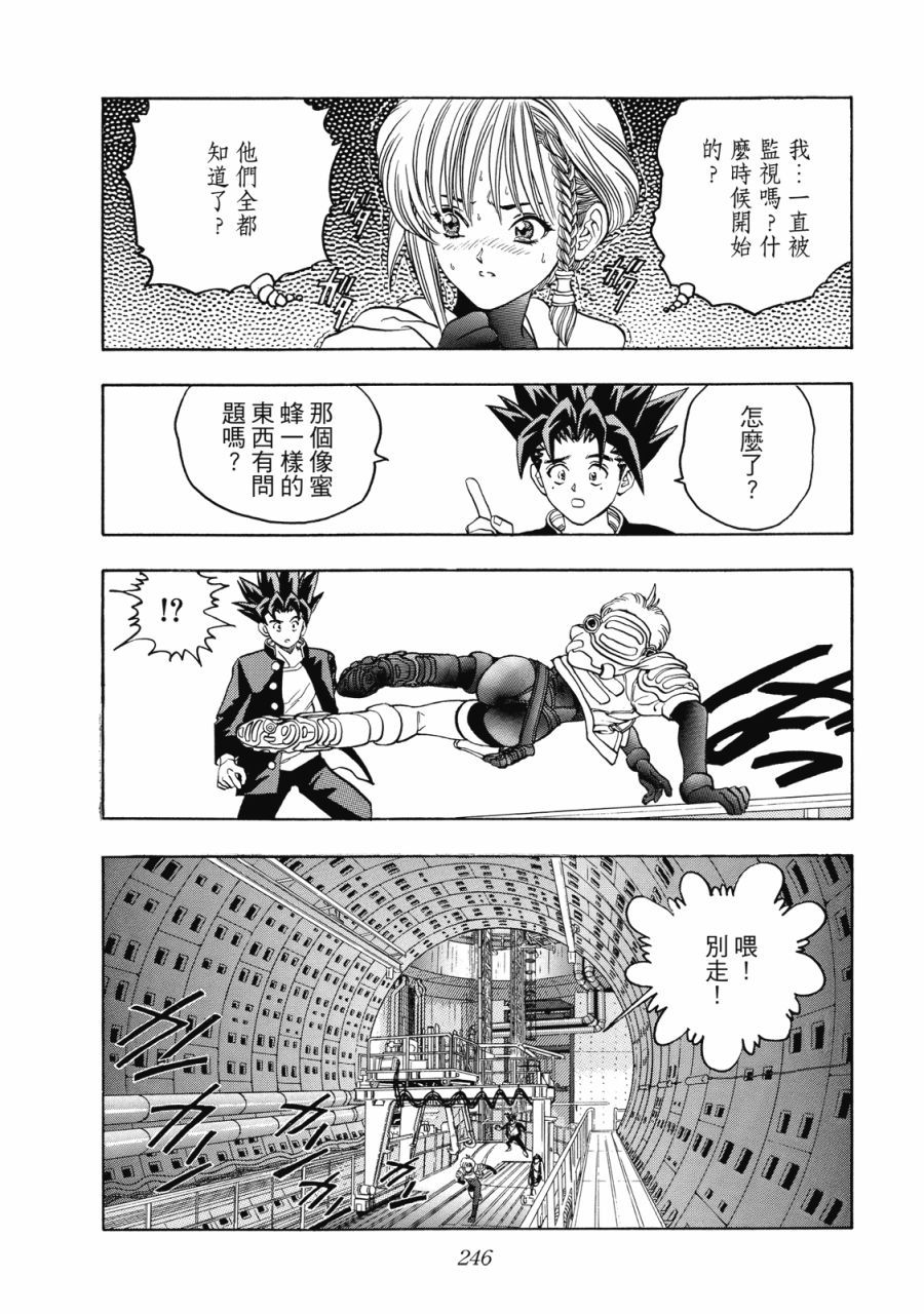 第245页