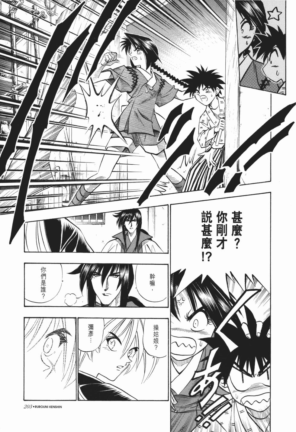 第203页
