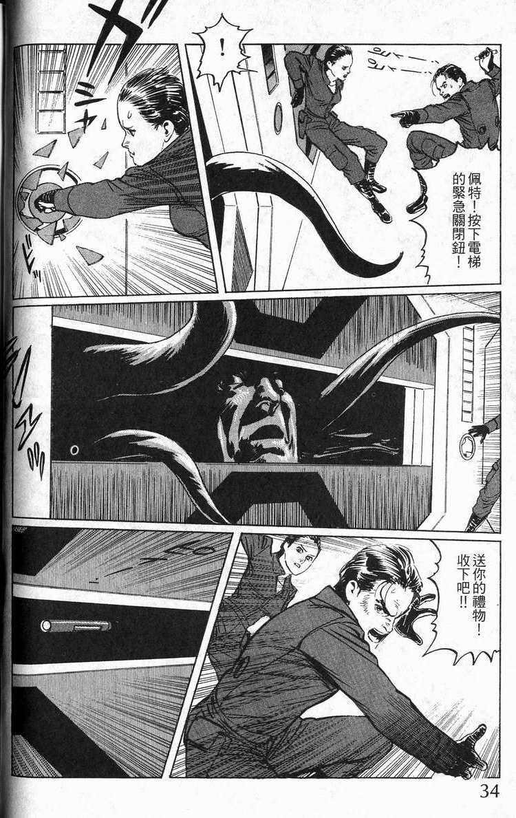 第33页