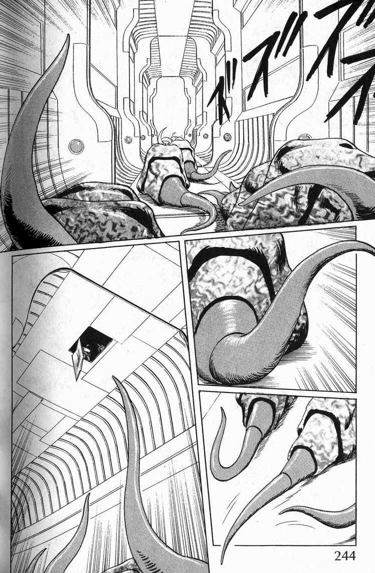 第243页