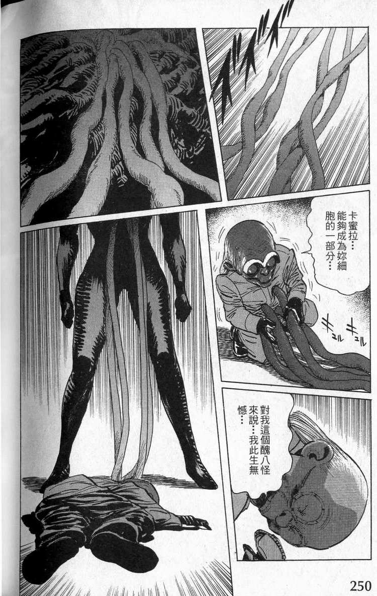 第247页