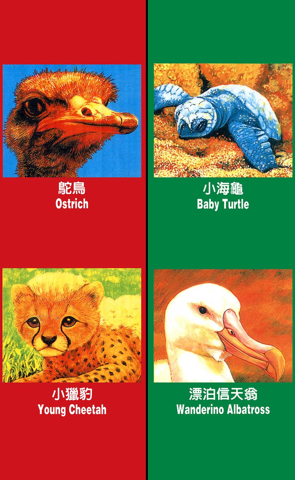 第155页