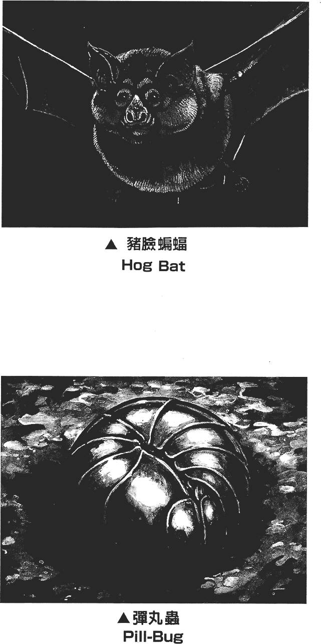 第157页