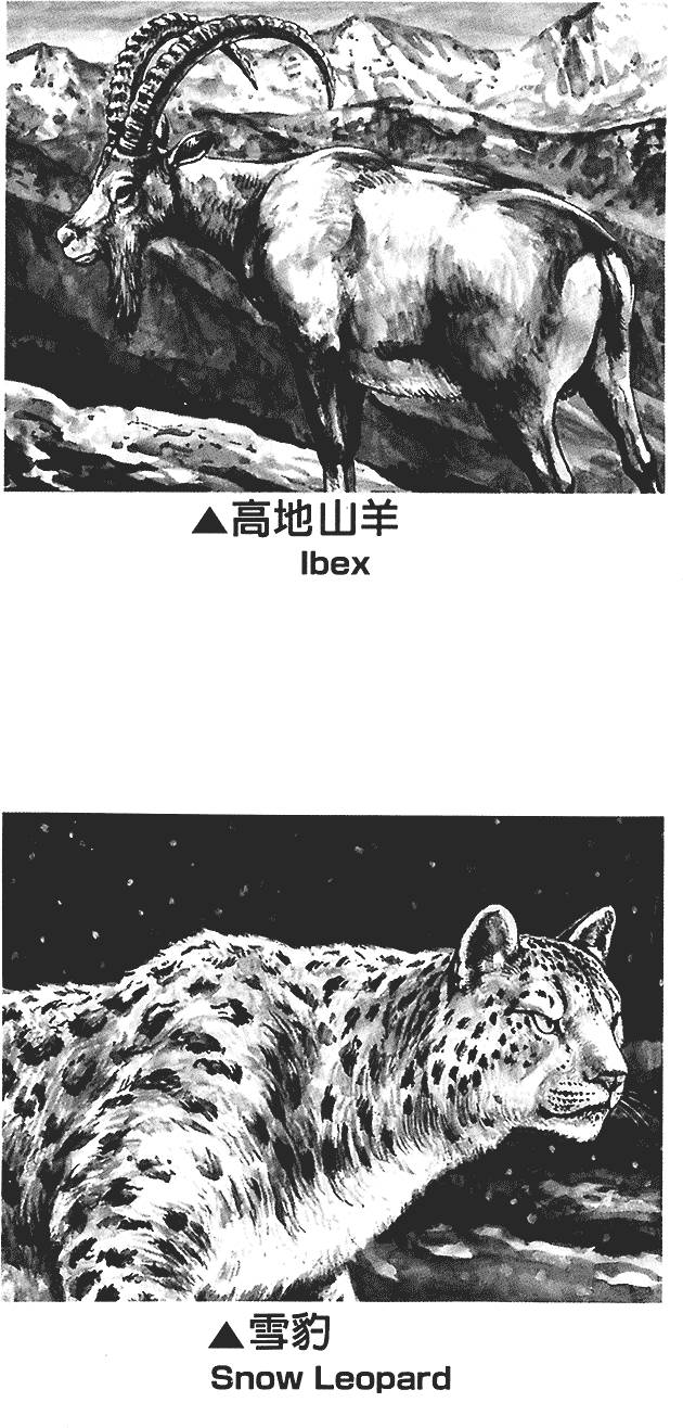 第127页