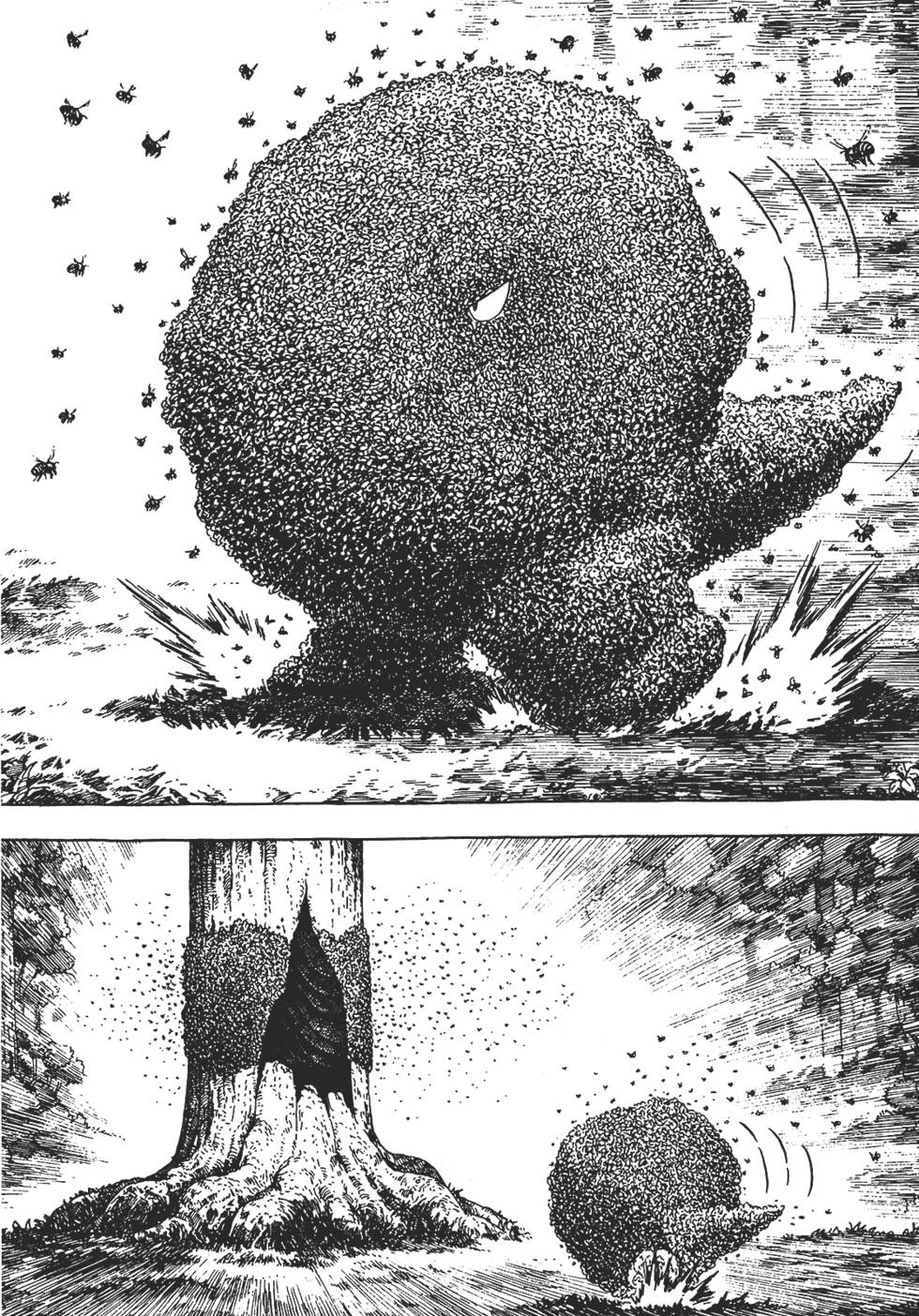 第146页