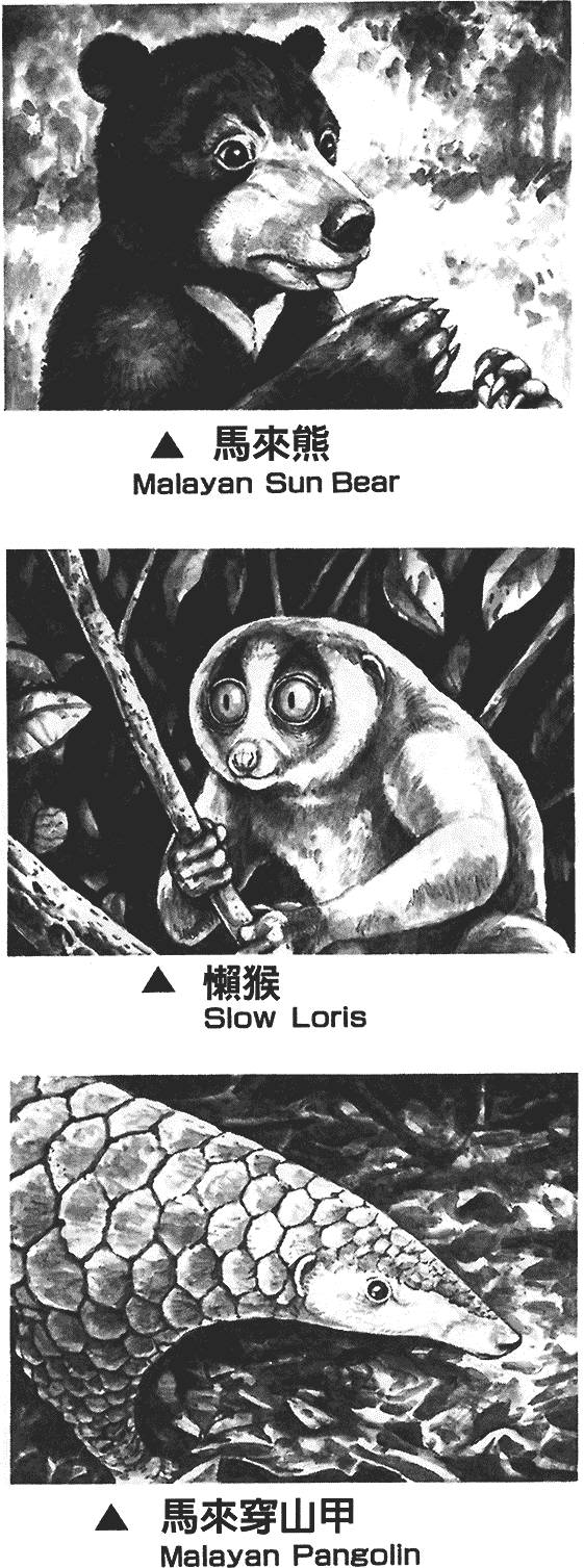 第163页