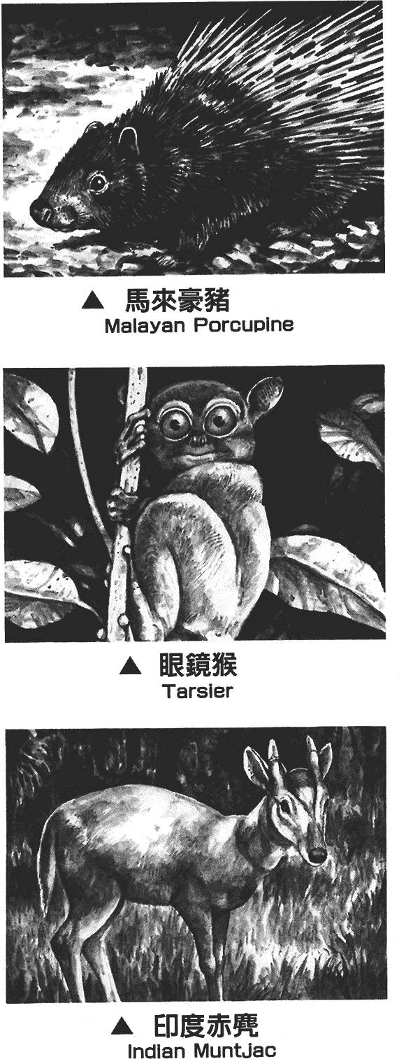第164页