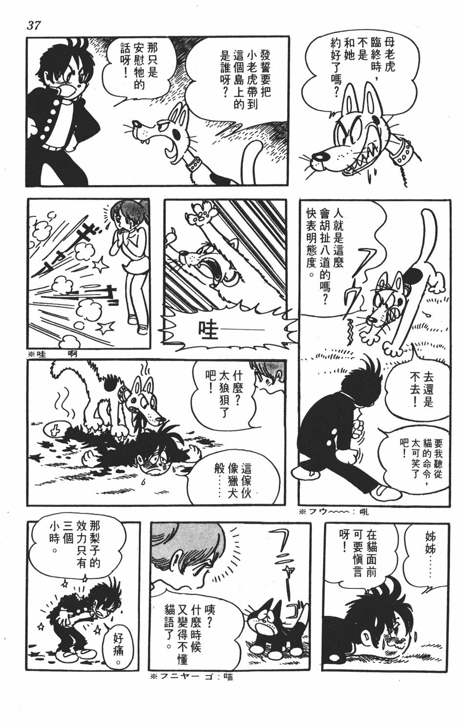 第33页