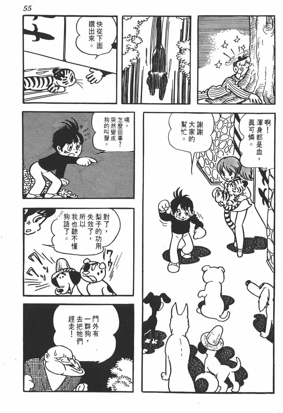 第51页
