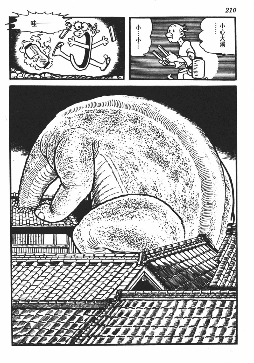 第204页