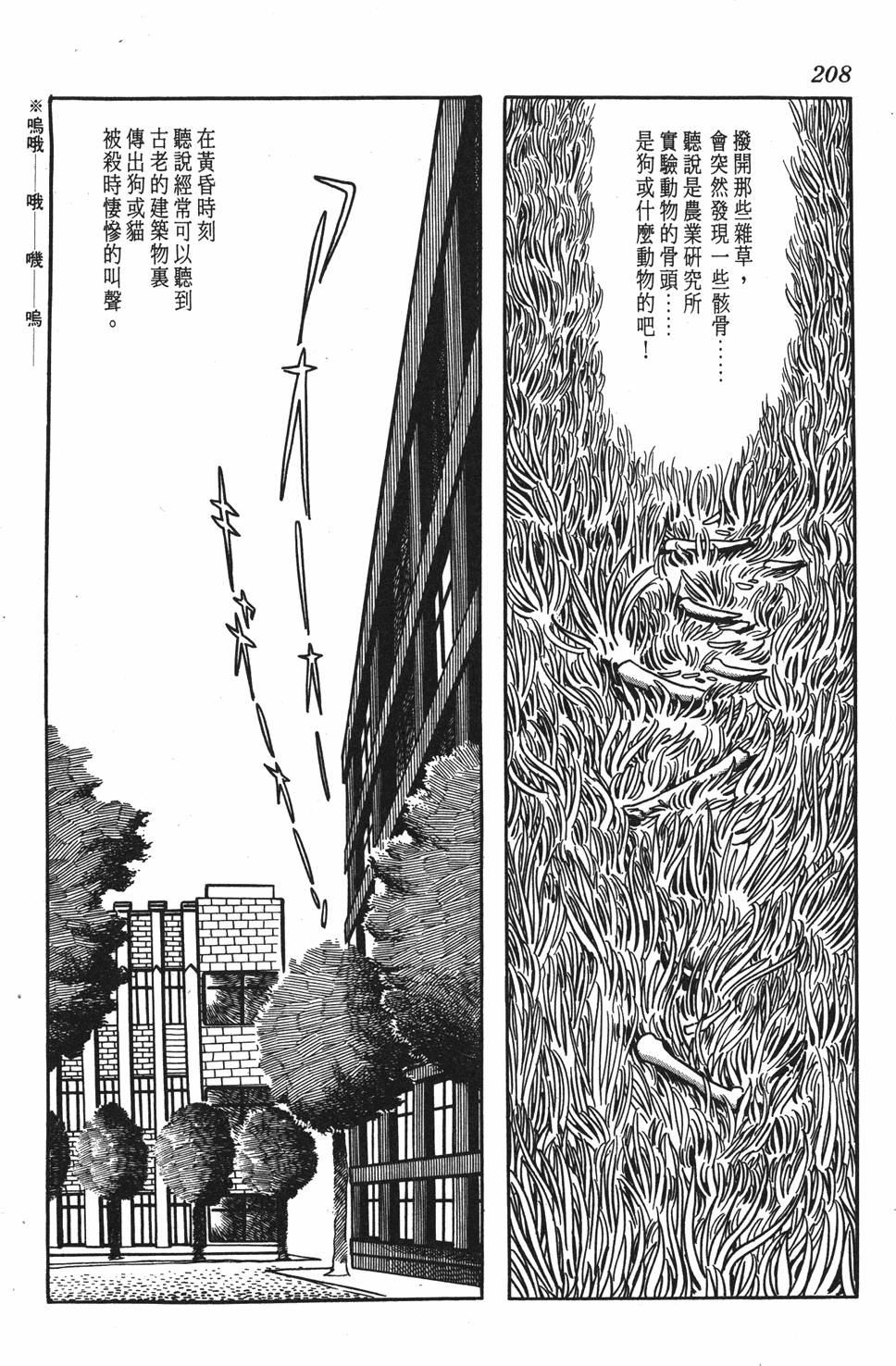 第199页