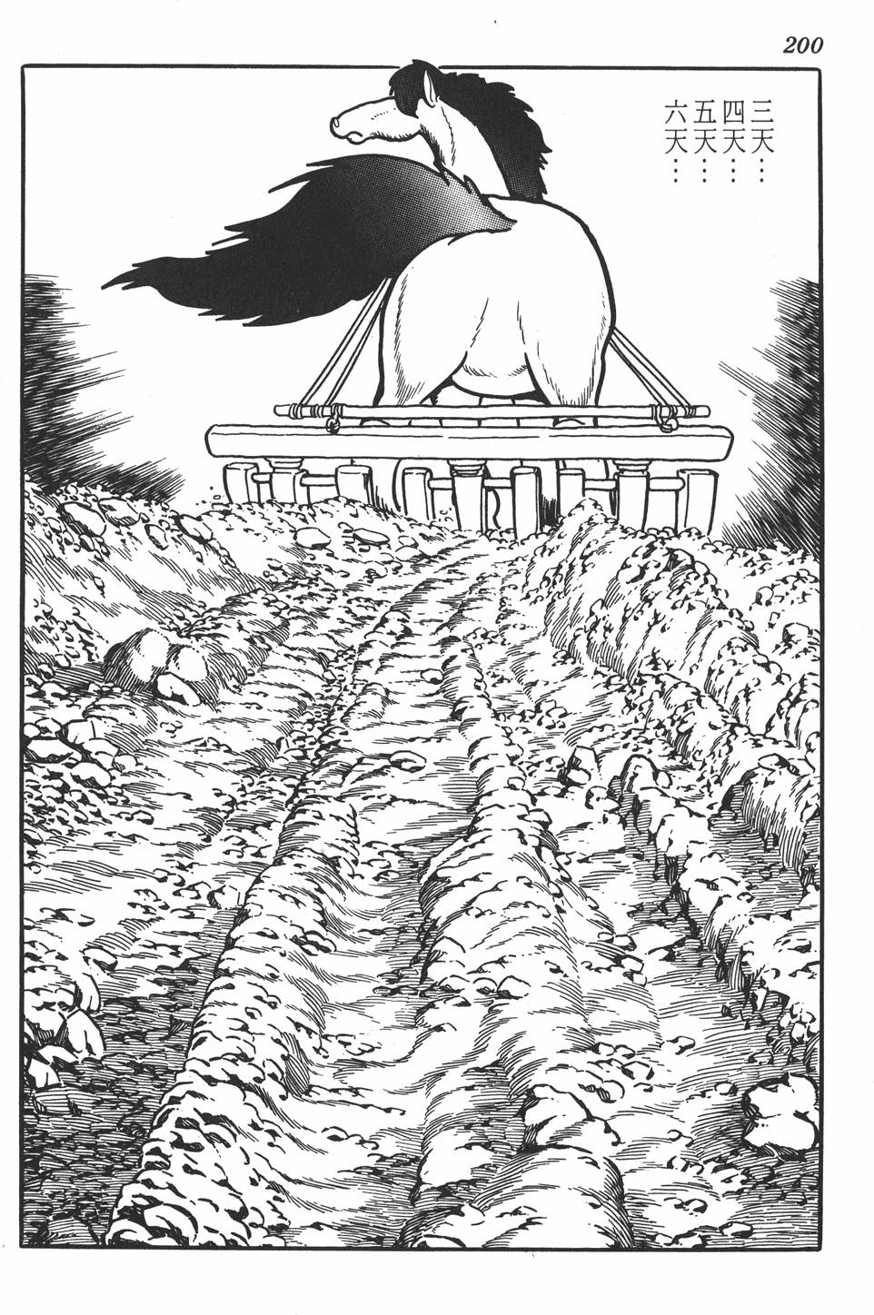 第196页