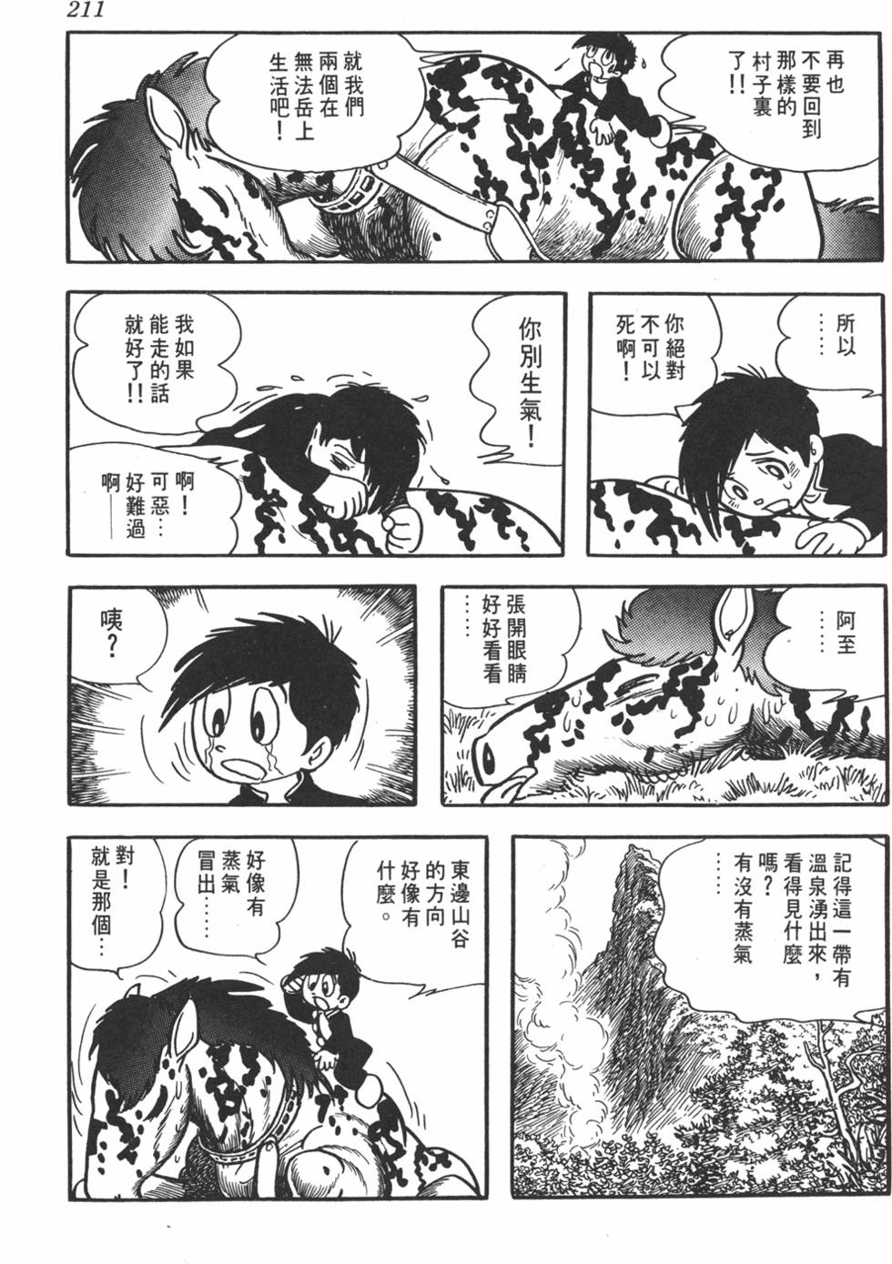 第207页