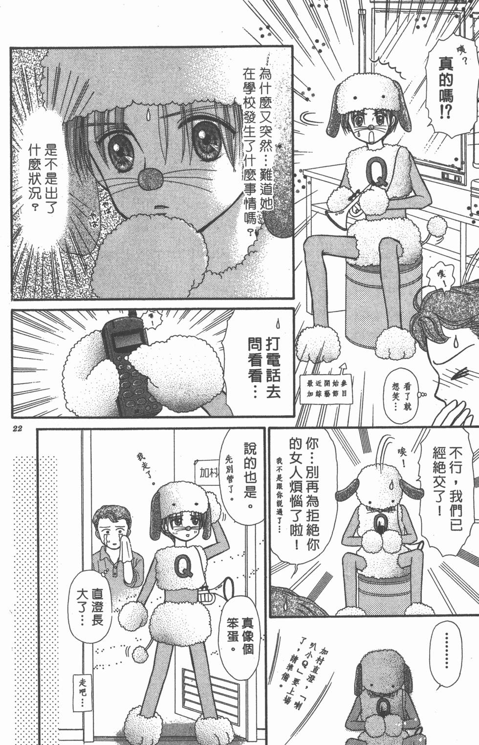 第20页