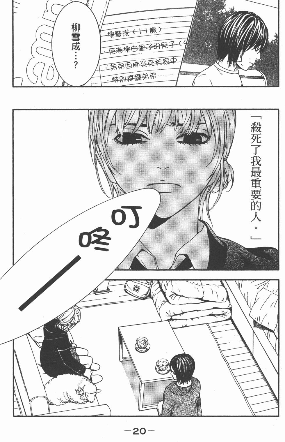 第20页