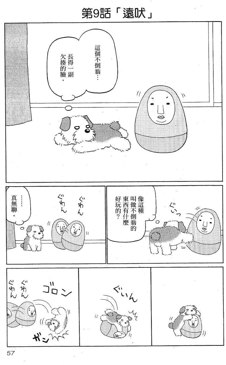 第55页
