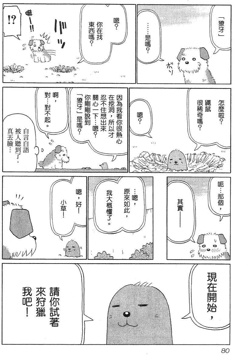 第78页