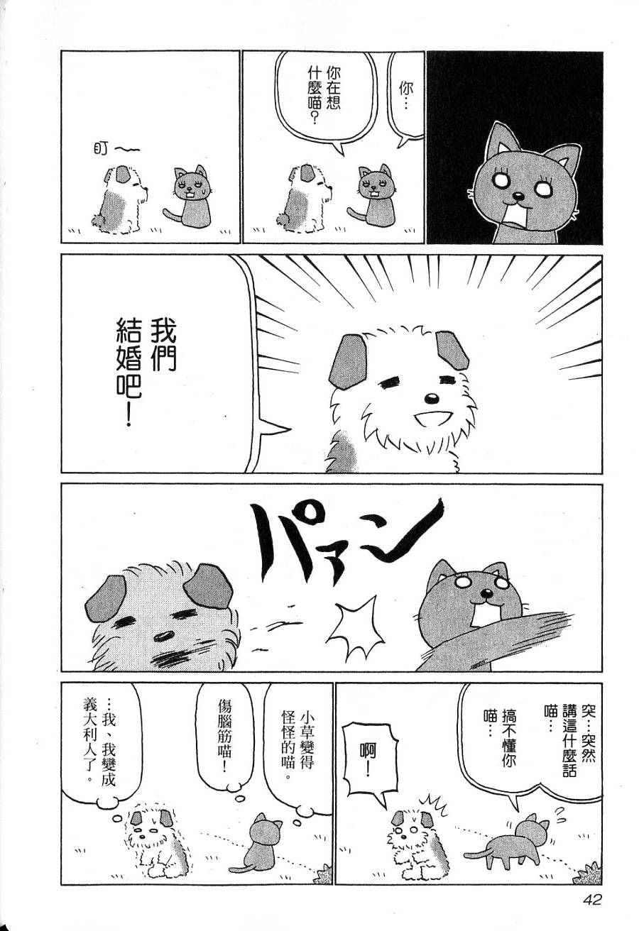 第40页