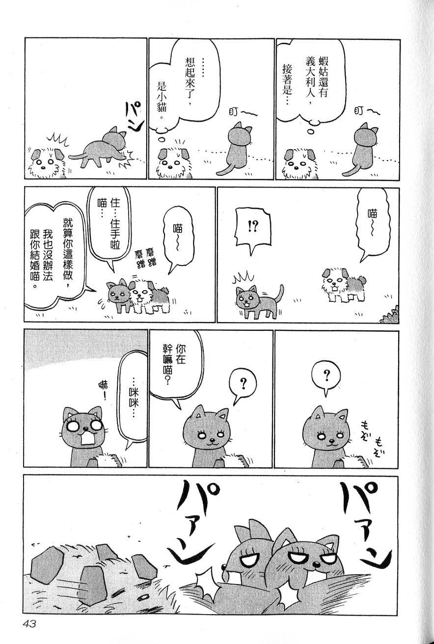 第41页