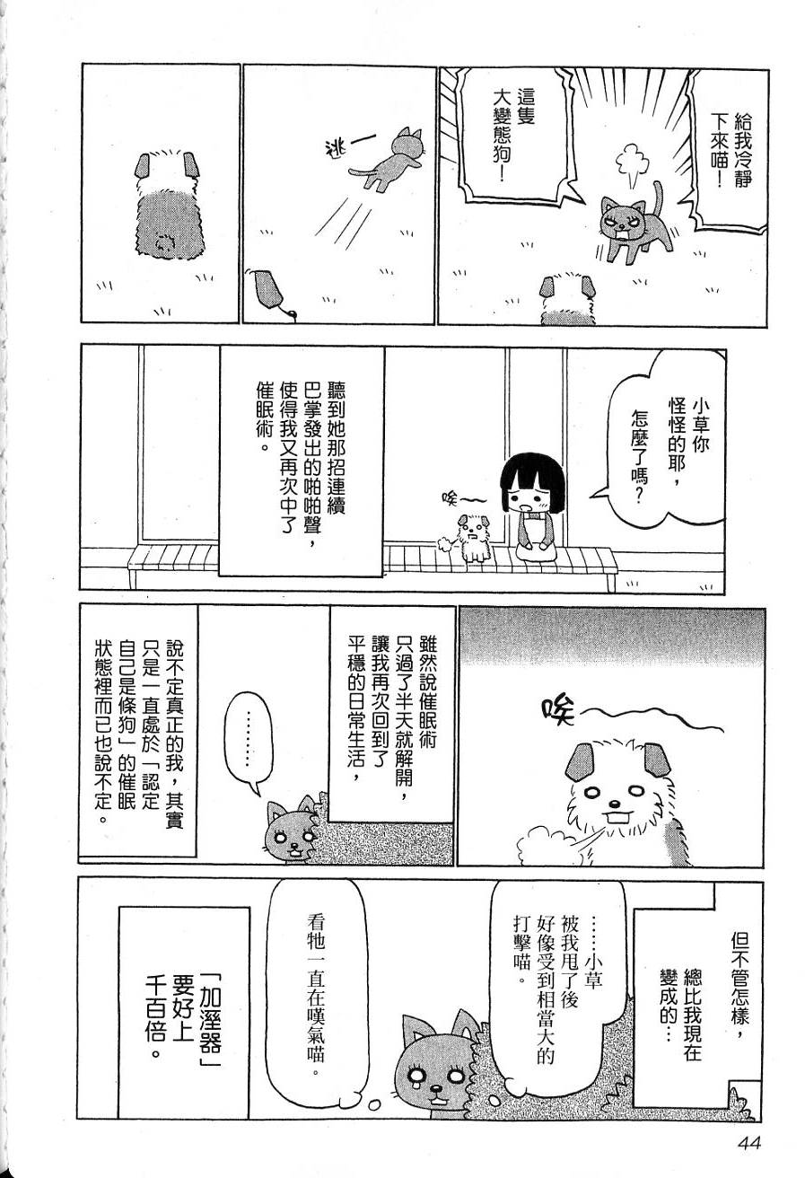 第42页