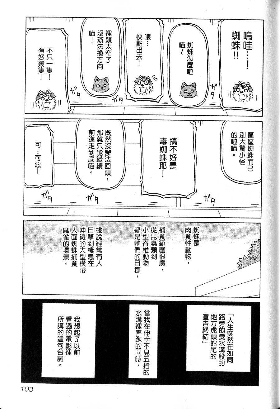 第101页