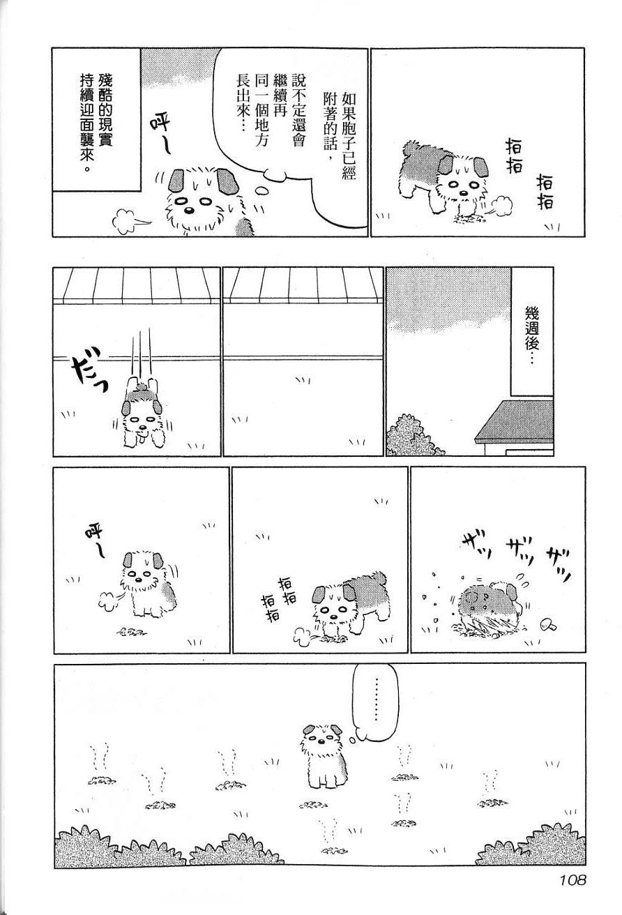 第106页