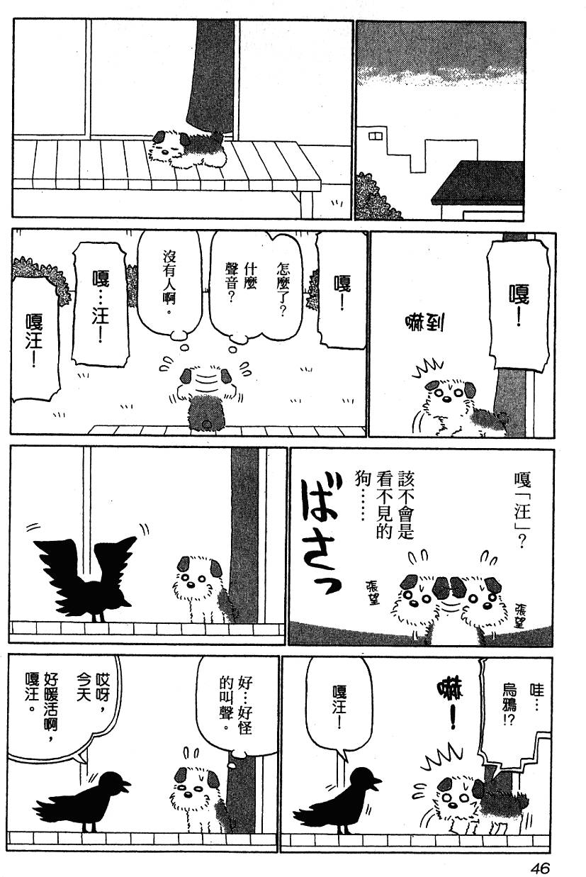 第46页