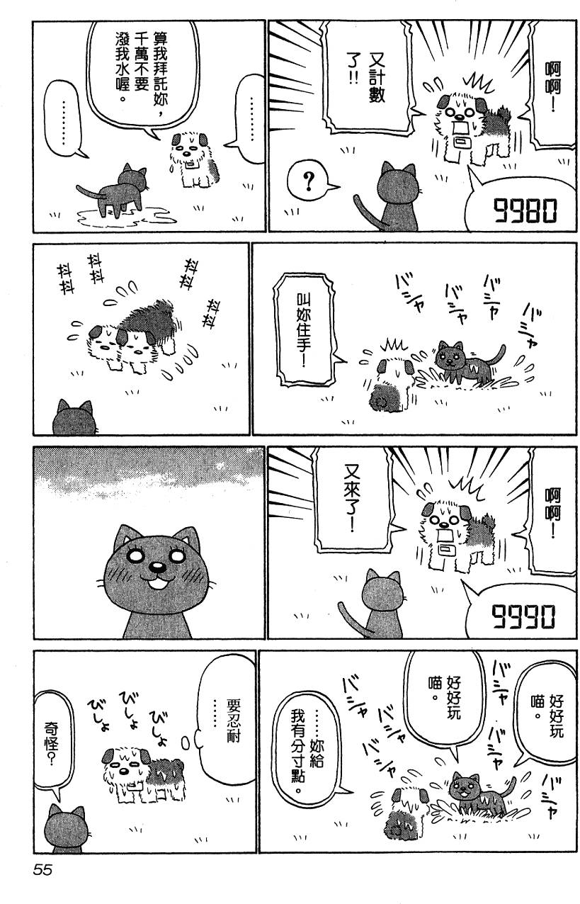 第55页