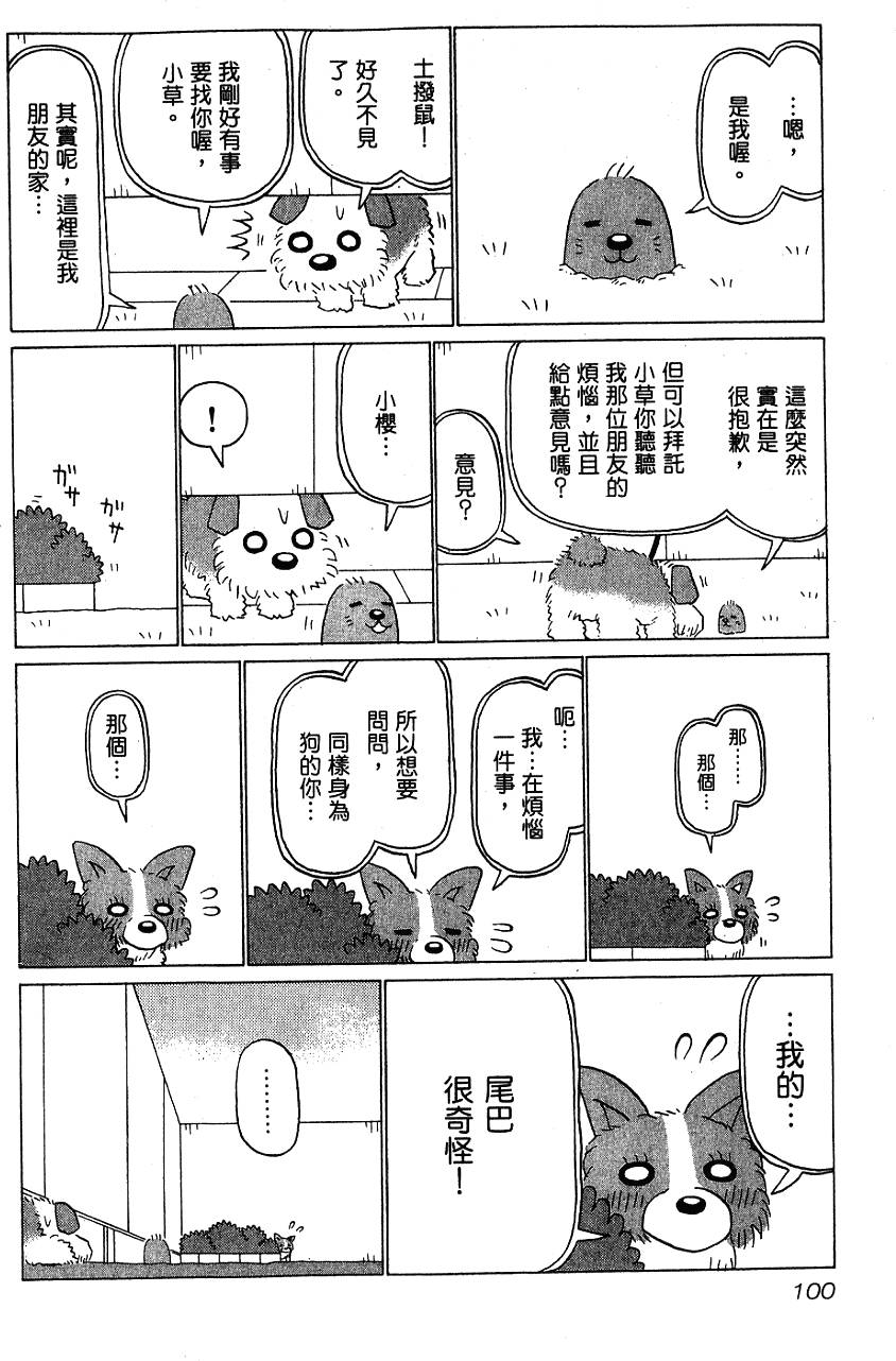 第100页