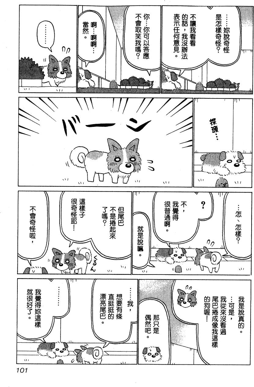 第101页