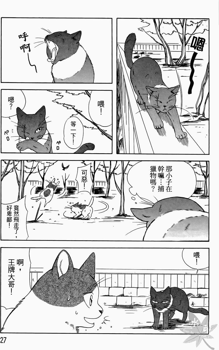 第24页