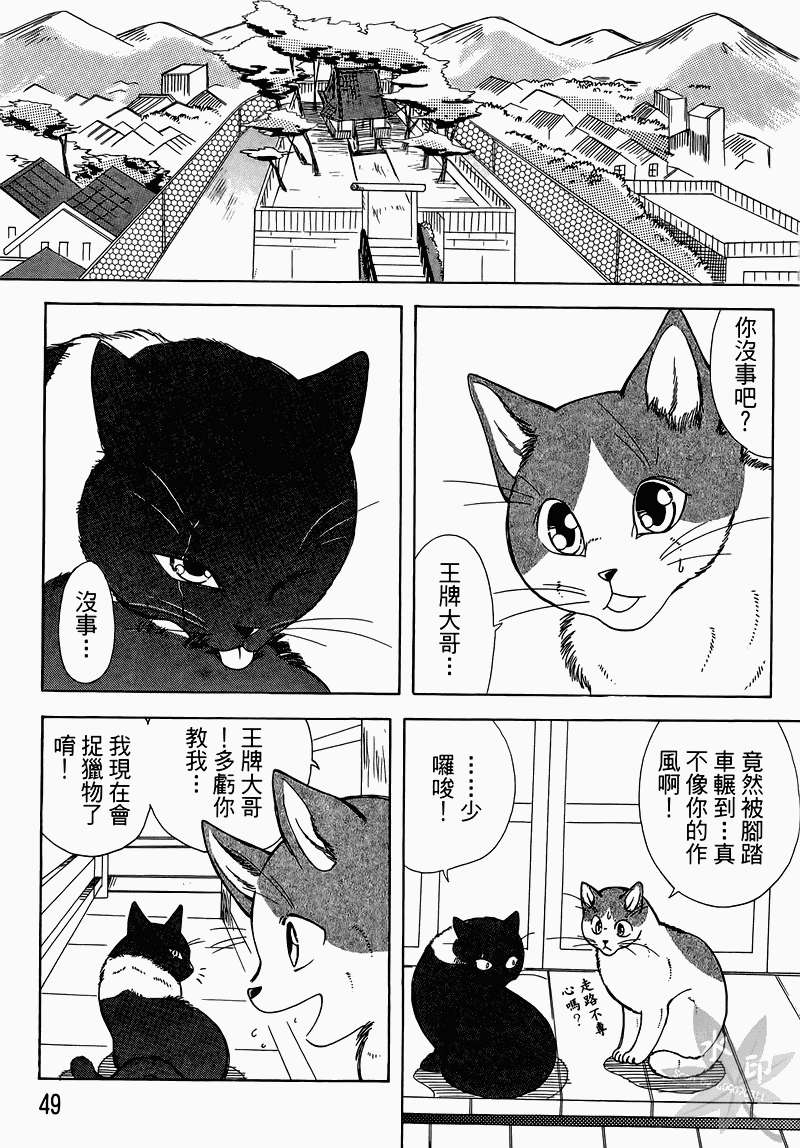 第46页