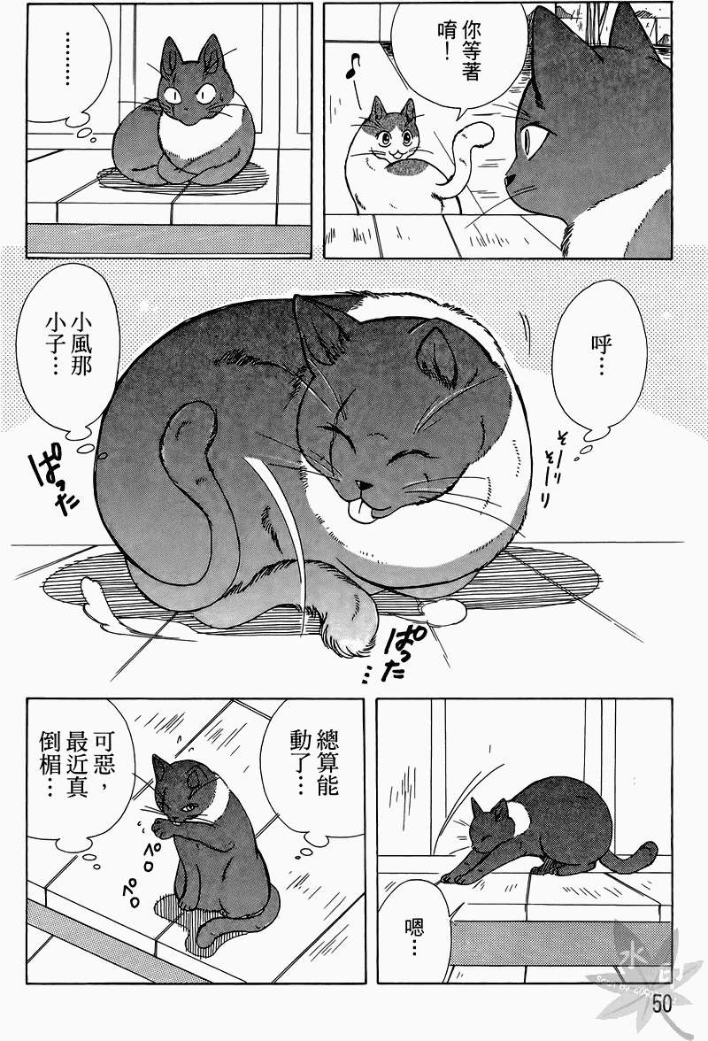 第47页