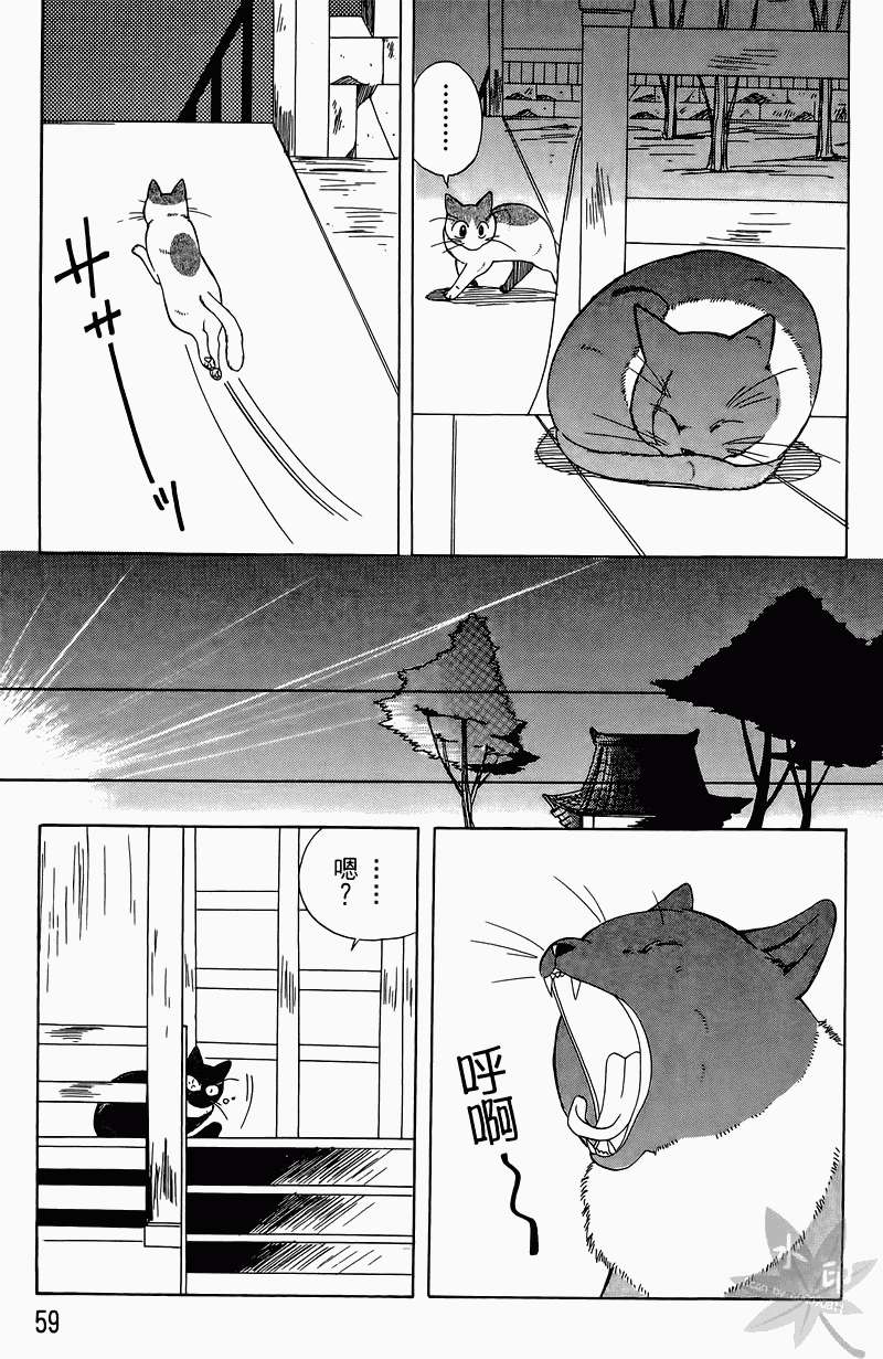第56页