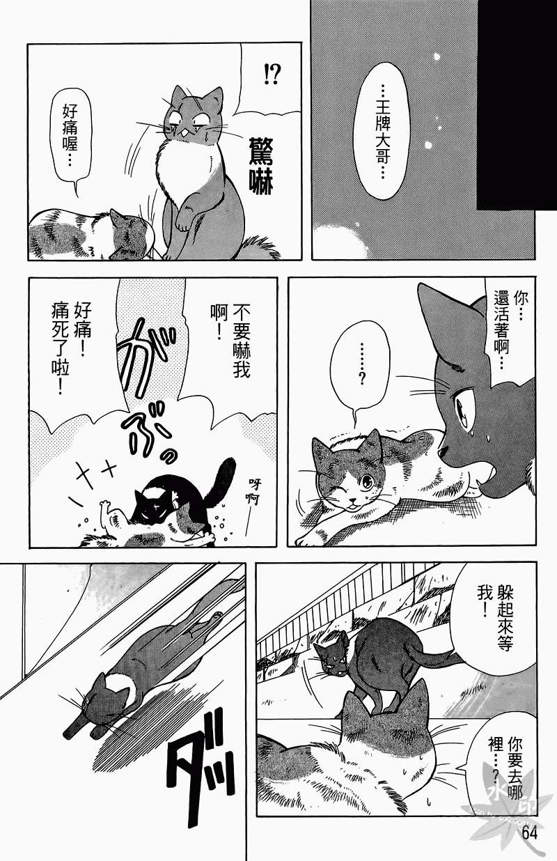 第61页