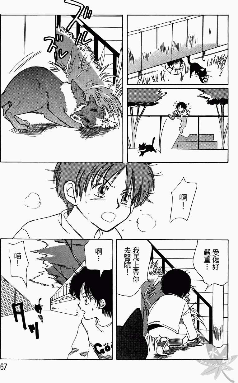 第64页