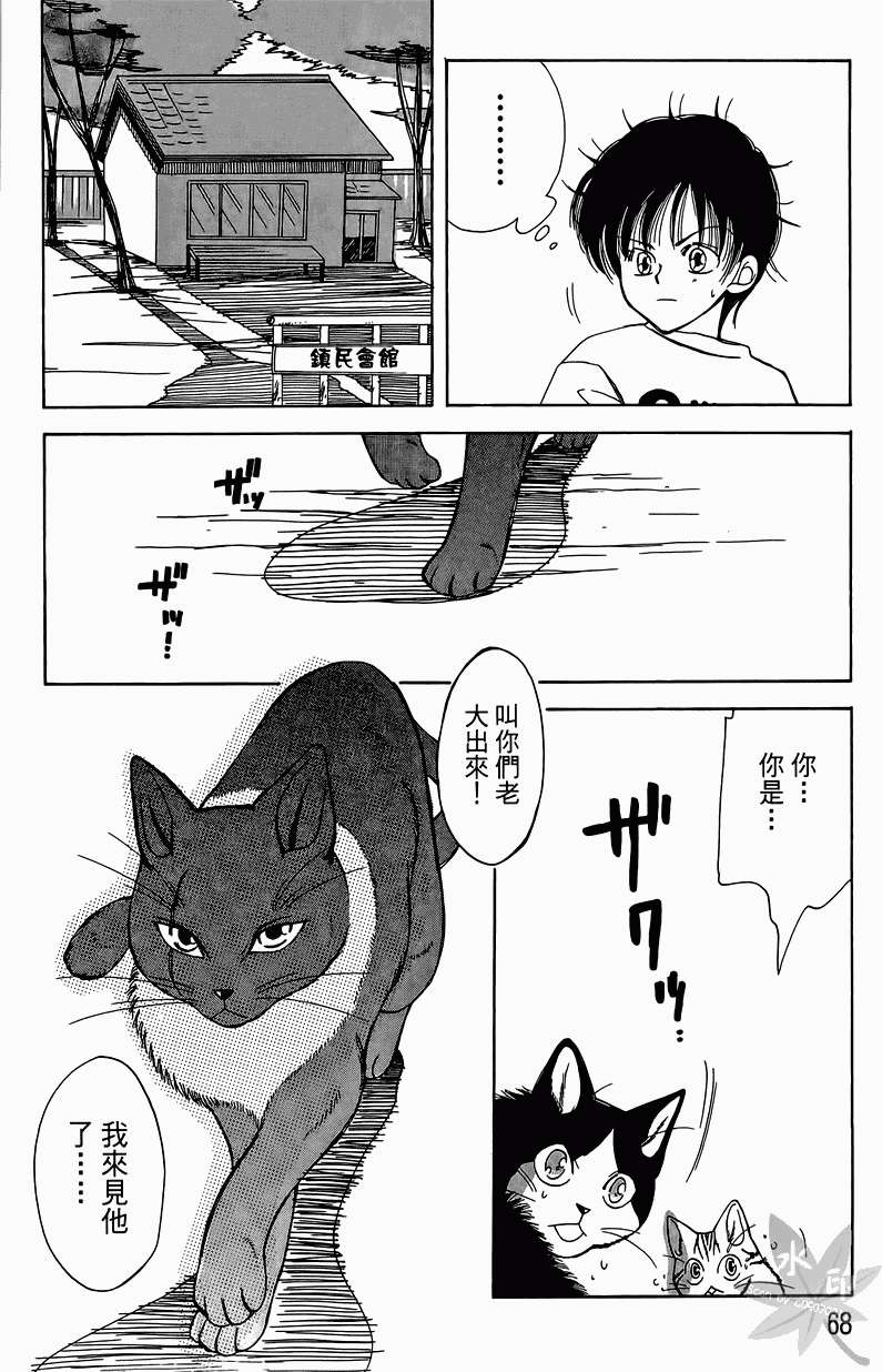 第65页