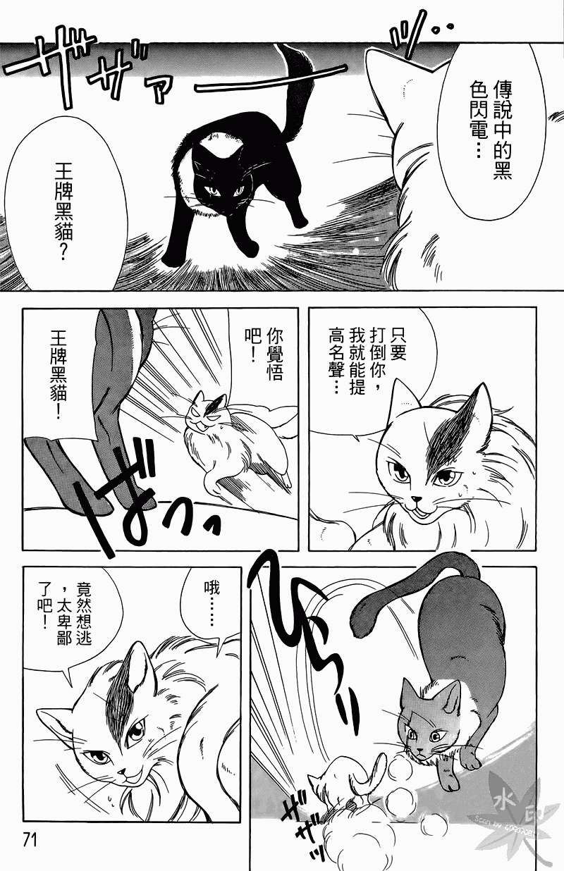 第68页