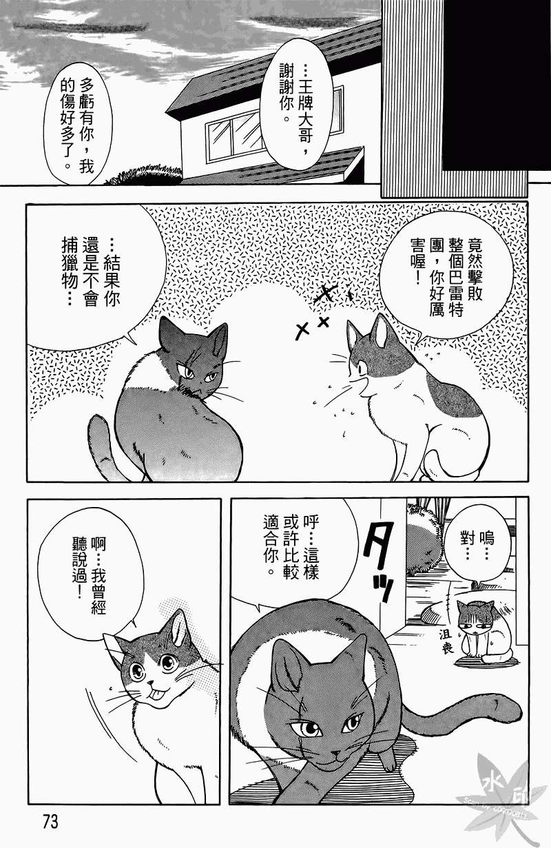 第70页