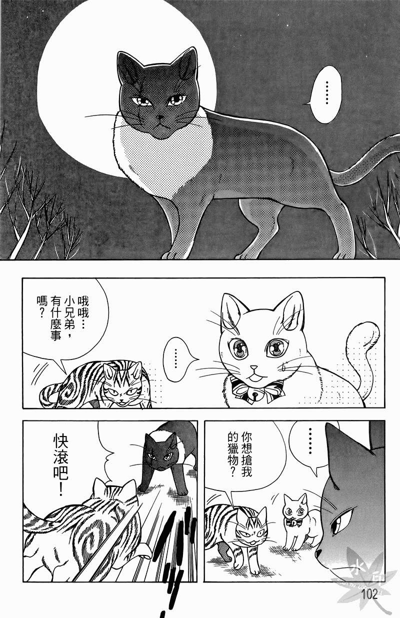 第99页