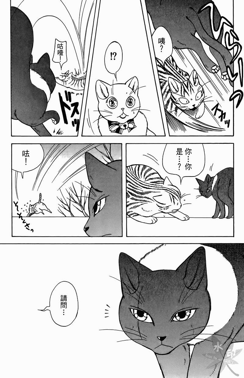 第100页