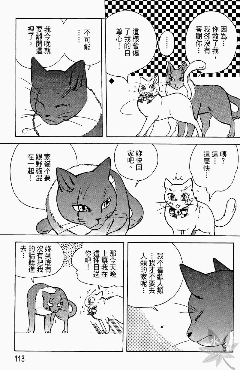 第110页