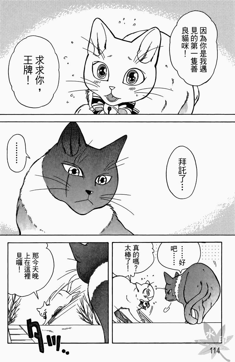 第111页