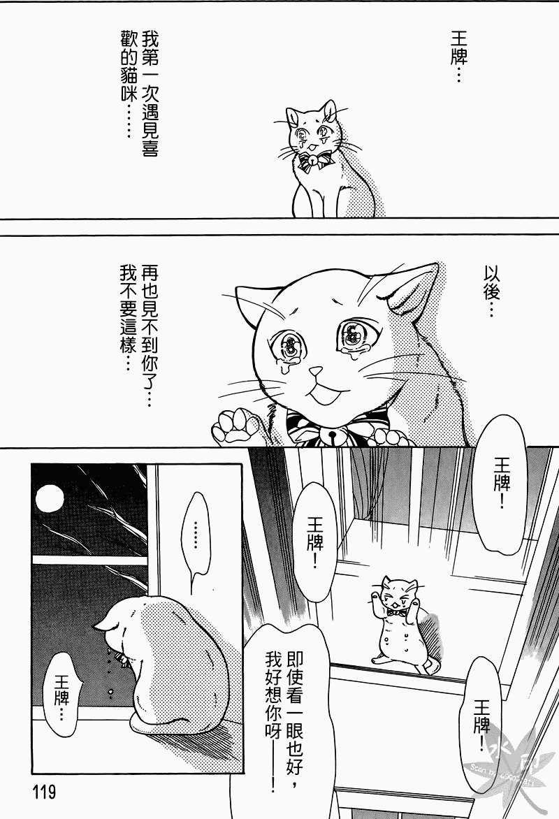 第116页